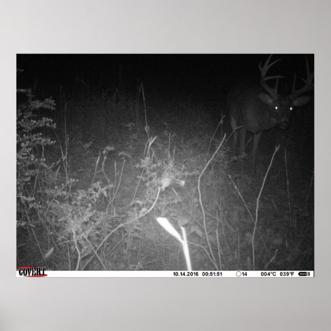 Poster de la caméra Monster Buck Trail (Devant)
