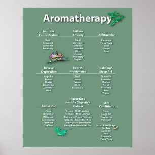 Poster de la carte Aromathérapie verte Moss