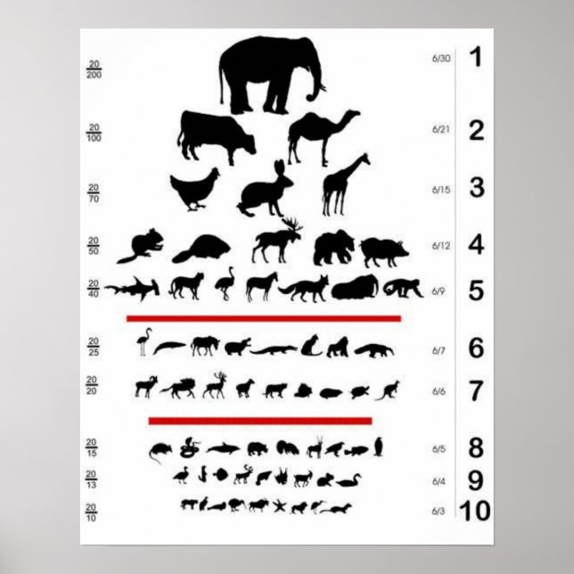 Poster de la carte des yeux animaux (Devant)