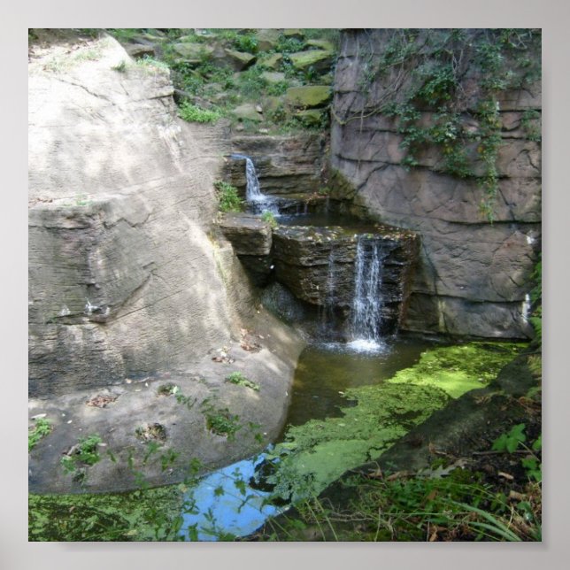 Poster de la cascade (Devant)