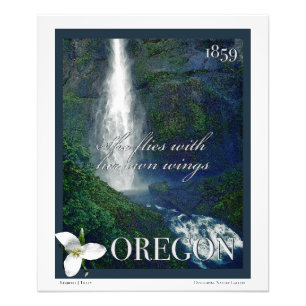 Poster de la cascade de l'Oregon