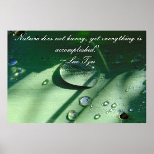 Poster de la citation de la nature Lao Tzu