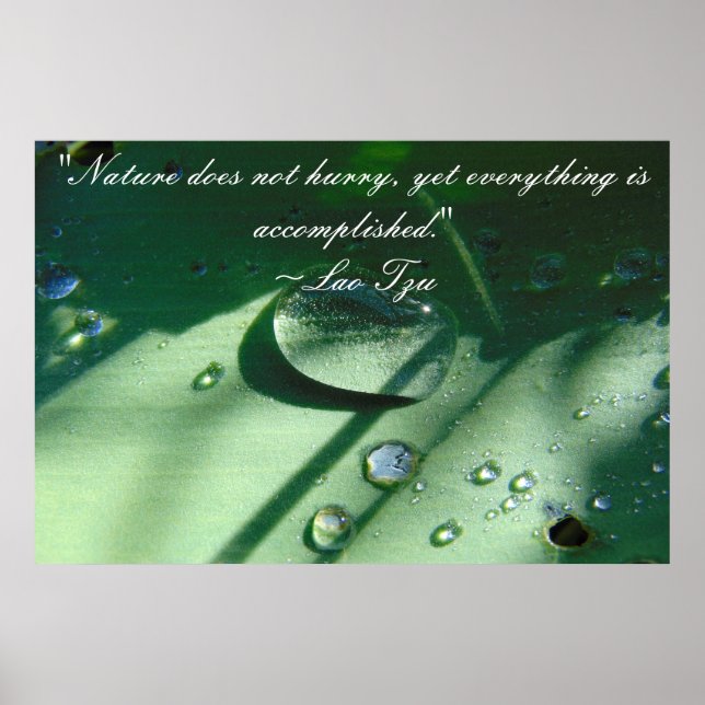 Poster de la citation de la nature Lao Tzu (Devant)