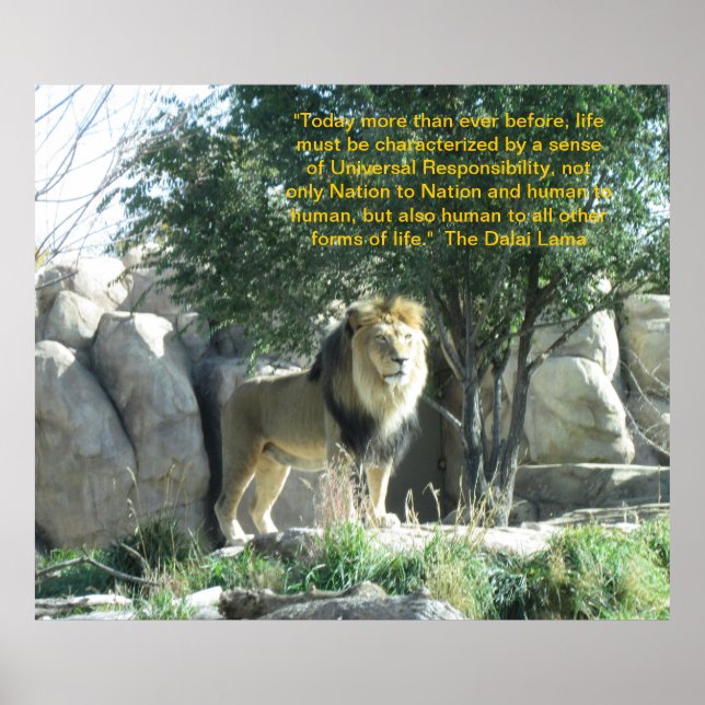 Poster de la citation du Lion Dalai Lama (Devant)