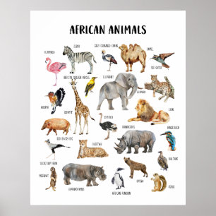 Poster de la classe africaine Animaux éducatifs