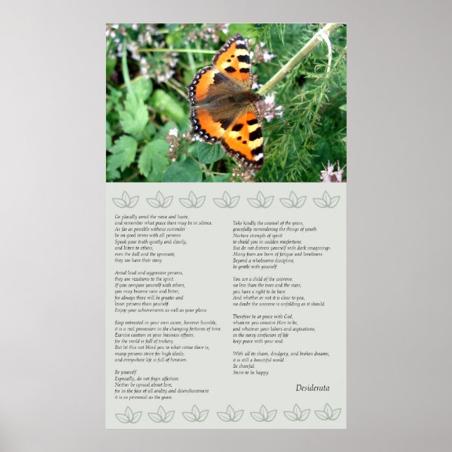 Poster de la desiderata motivationnelle papillon (Devant)
