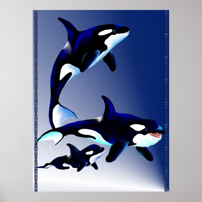 Poster de la famille des baleines tueuses (Devant)