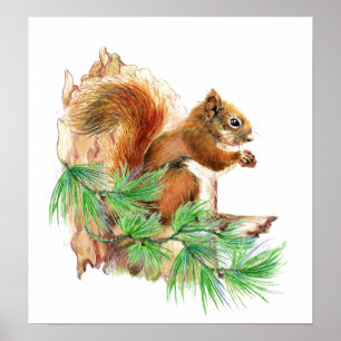 Poster de la faune animale d'écureuil