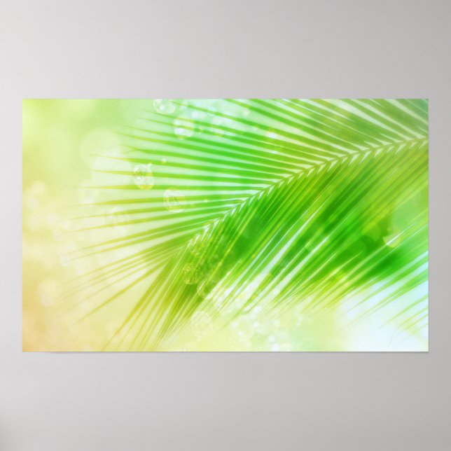 Poster de la feuille de palme tropicale (Devant)