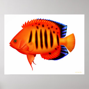 Poster de la flamme de Coral Reef