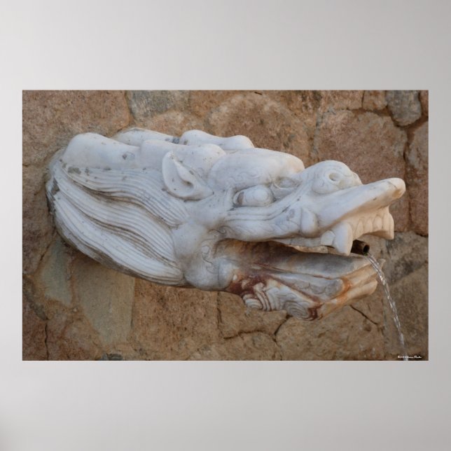Poster de la Fontaine Dragon (Devant)