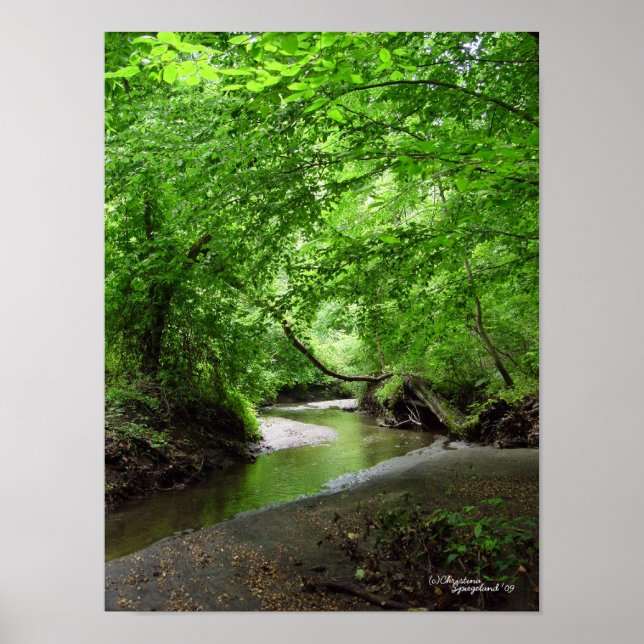 Poster de la forêt de Courbes Tranquilles (Devant)