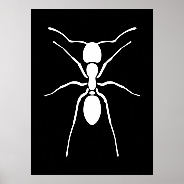Poster de la fourmi blanche (Devant)