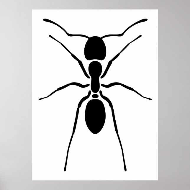 Poster de la fourmi noire (Devant)