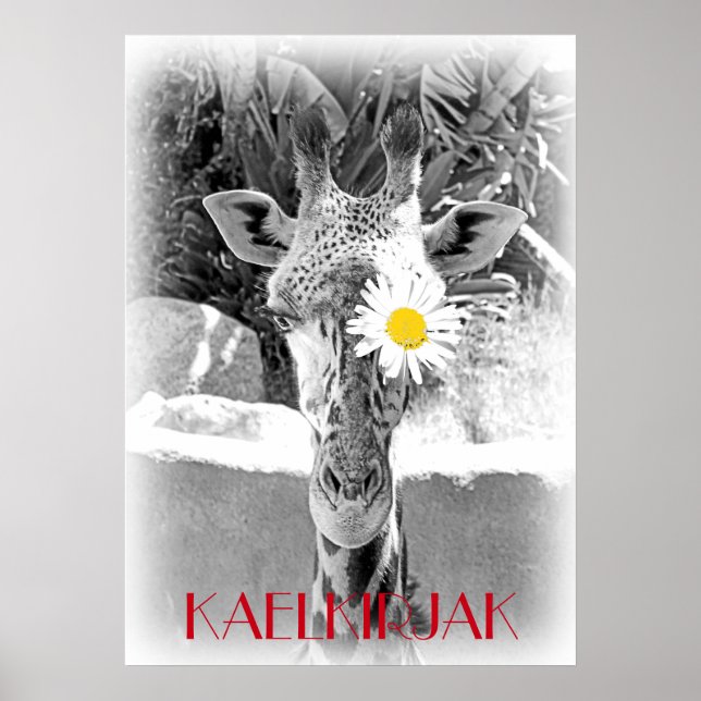 Poster de la Giraffe cool ! (Devant)