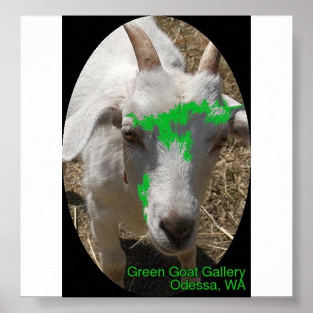 Poster de la Green Goat Gallery avec "Poussin" (Devant)
