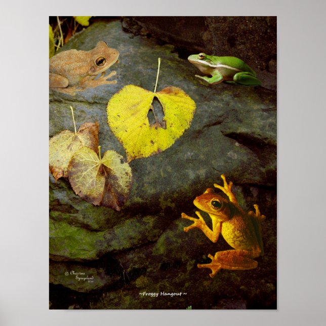 Poster de la grenouille (Devant)