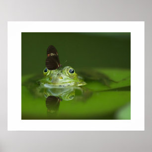 Poster de la grenouille et du papillon