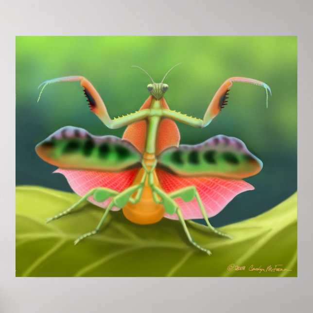 Poster de la Mantis de prière colorée (Devant)