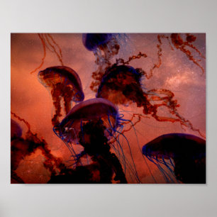 Poster de la méduse de l'espace sombre Nature