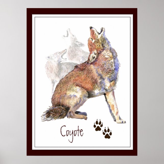 Poster de la nature animale de Howling Coyote (Devant)
