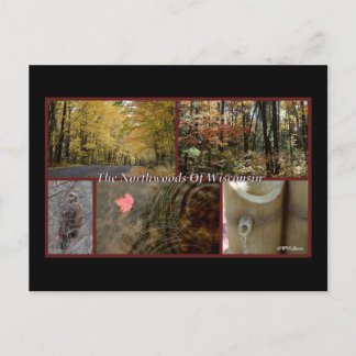 Poster de la nature Northwoods Wisconsin Carte pos
