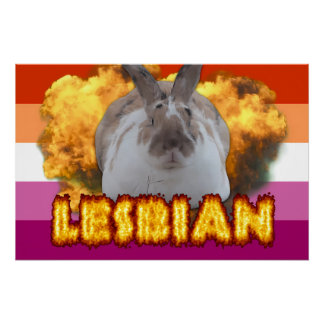 Poster de la Paddy Pride (Lesbienne)