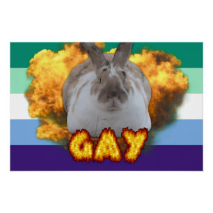 Poster de la Paddy Pride (MLM)