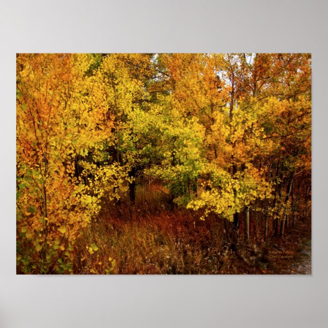 Poster de la palette d'automne/Imprimer (Devant)