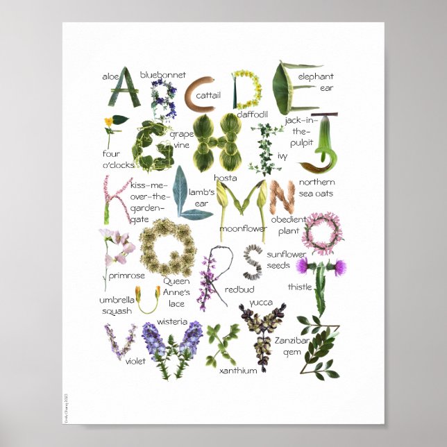 Poster de la pépinière pour bébés - Fleurs botaniq (Devant)