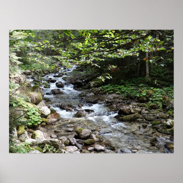 Poster De La Photographie De Rivière (Devant)