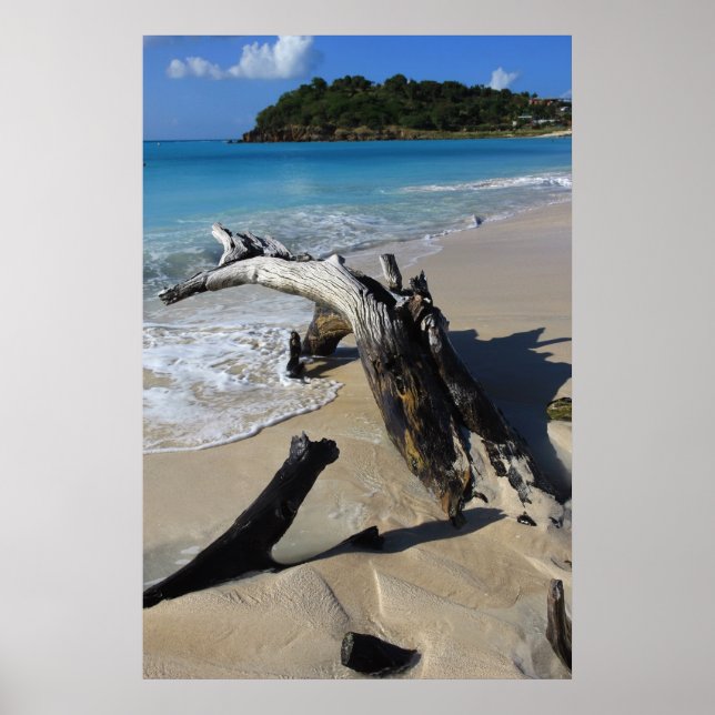 Poster de la plage d'Antigua (Devant)