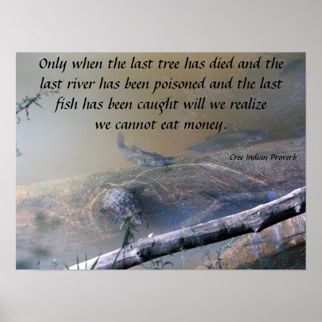 Poster de la rivière dernière et du poisson (Devant)