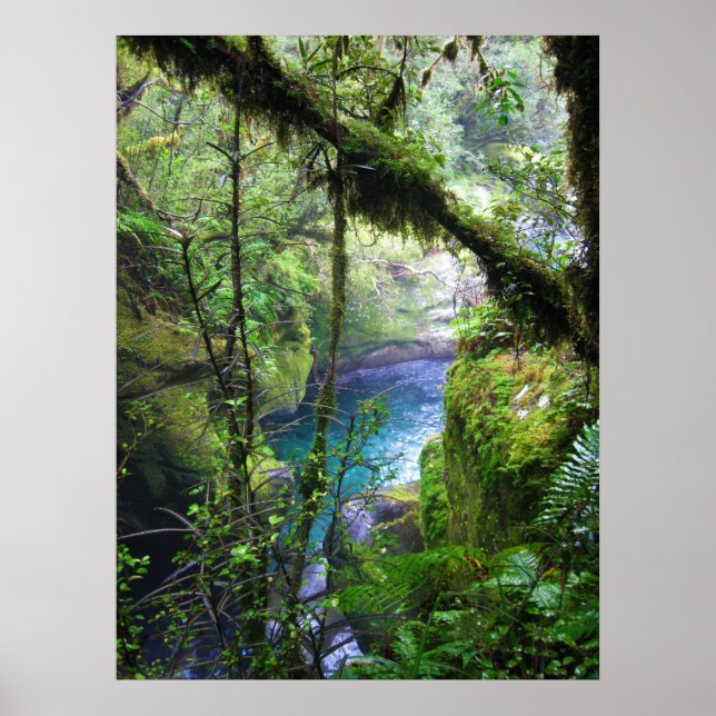 Poster de la rivière Jungle (Devant)