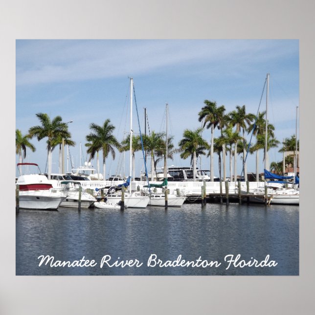 Poster de la rivière Manatee Bradenton FL (Devant)