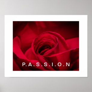 Poster de la Rose Rouge Passion