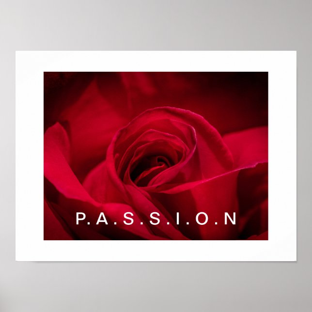 Poster de la Rose Rouge Passion (Devant)