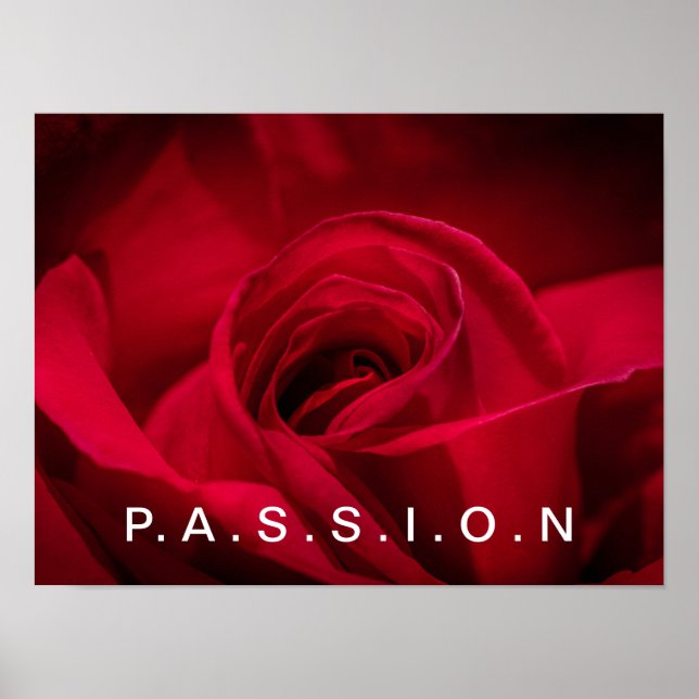 Poster de la Rose Rouge Passion (Devant)