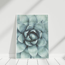 Poster de la sage de Boho Green Succulent