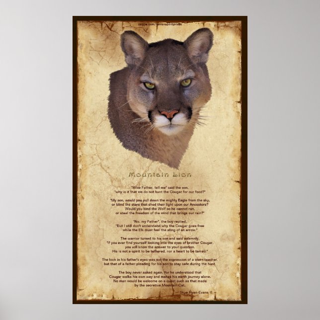Poster de la sagesse amérindienne du lion de Couga (Devant)