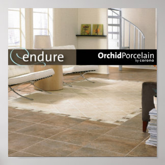 Poster de la série Endure 15 po x 15 po