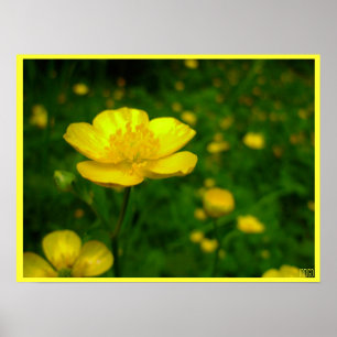 Poster de la tasse d'or Imprimer Art sauvage Impri