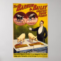 Poster de la Troupe des Chiens Formés Remarquables