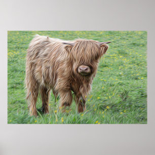 Poster de la vache écossaise Highland