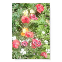 Poster de la valeur des fleurs de pommes de prairi