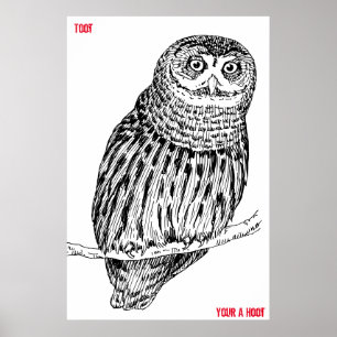 Poster de la vieille chouette
