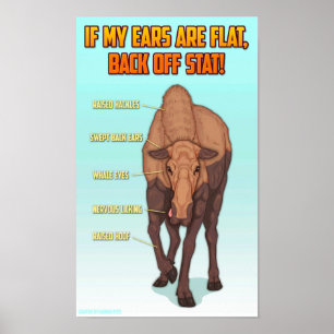 Poster de l'affiche de sécurité des orignaux