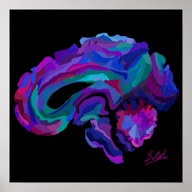 Poster de l'affiche du cerveau de couleur (Devant)