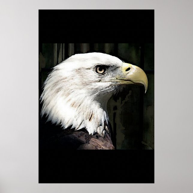 Poster de l'aigle à tête blanche américain Imprime (Devant)