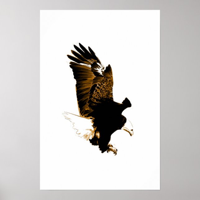 Poster de l'aigle à tête blanche américain Imprime (Devant)